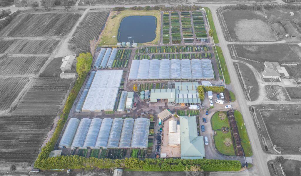 Plantex Nursery