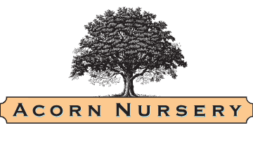 Acorn Nursery logo