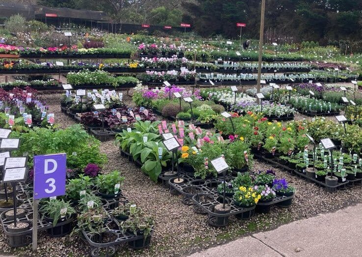 Plantex Nursery bay D3 at Plantmark Langwarrin