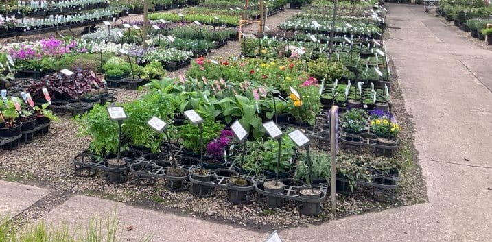 Plantex Nursery bay D4 at Plantmark Langwarrin
